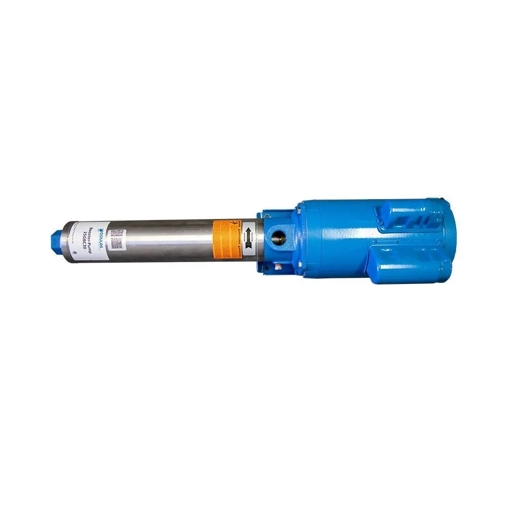 Goulds 1.5 HP Multi-Stage Stainless Steel RO Pump