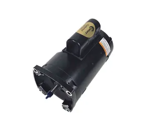 Jandy Single Speed Motor and Hardware R0445110
