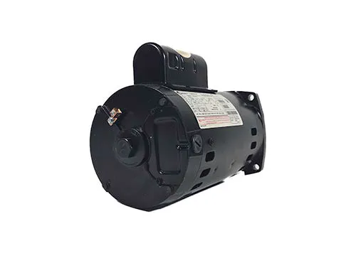 Jandy Single Speed Motor and Hardware R0445110