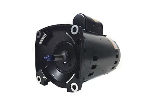 Jandy Single Speed Motor and Hardware R0445110