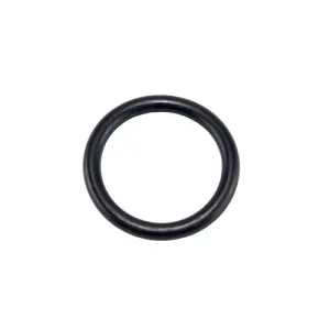 Speck Pump Filler Plug O-Ring 2923241231