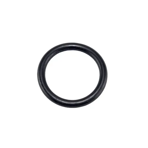Speck Pump Filler Plug O-Ring 2923241231