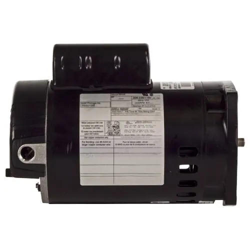 Sta-Rite Single Speed Motor 355019S