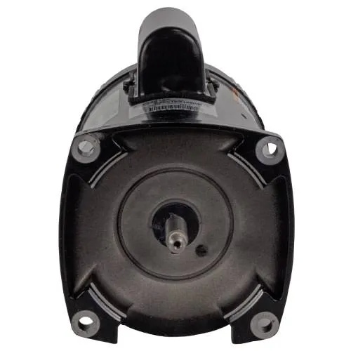 Sta-Rite Single Speed Motor 355019S