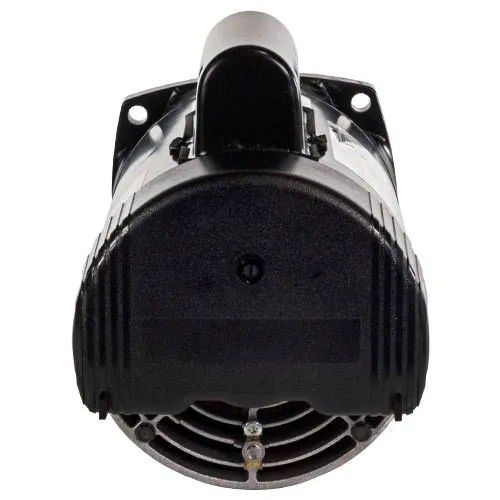 Sta-Rite Single Speed Motor 355019S
