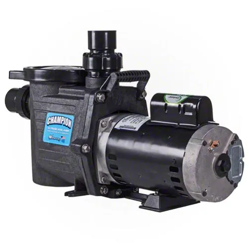 Waterway Champion 1.5 HP Pump - Two Speed - Standard Efficiency