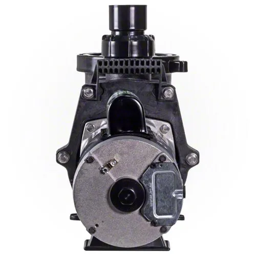 Waterway Champion 1.5 HP Pump - Two Speed - Standard Efficiency