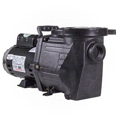 Waterway Champion 1.5 HP Pump - Two Speed - Standard Efficiency